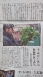 千両市の新聞記事