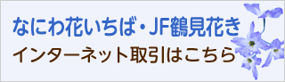 なにわ花いちば・JF鶴見花きインターネット取引はこちら