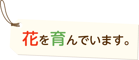 花を育んでいます。