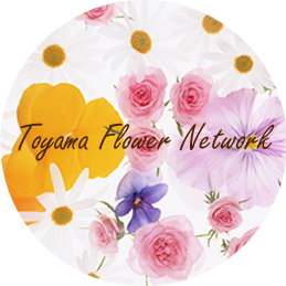 Toyama Flower Network